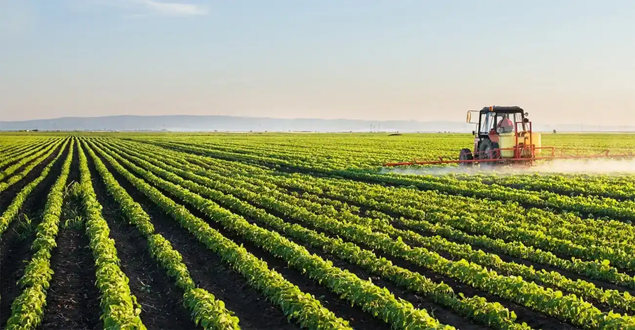 Setor Agrícola
